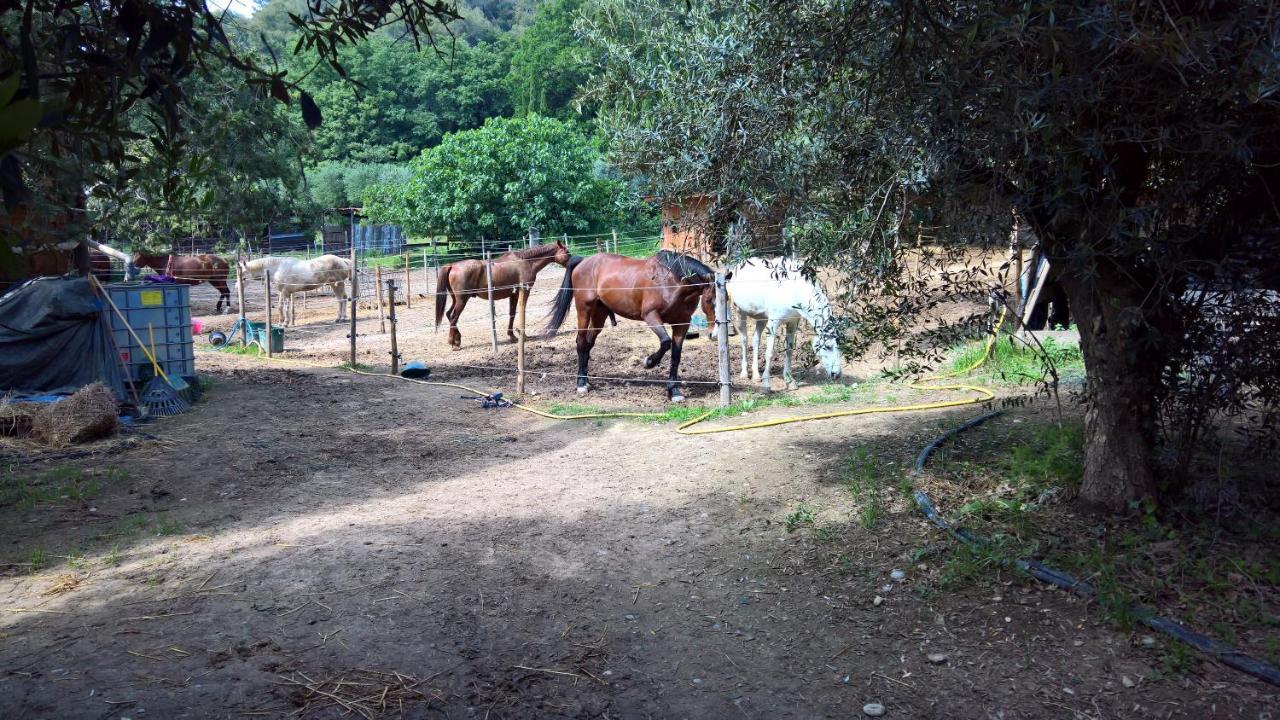 Baie Des Anges Appartement Bis Villeneuve-Loubet Zewnętrze zdjęcie